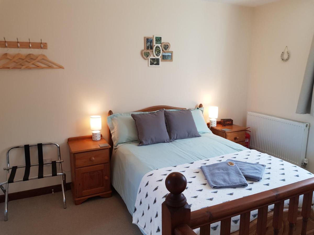 The Beehive - Self Catering In The Heart Of The Forest Of Dean Whitecroft Exteriér fotografie