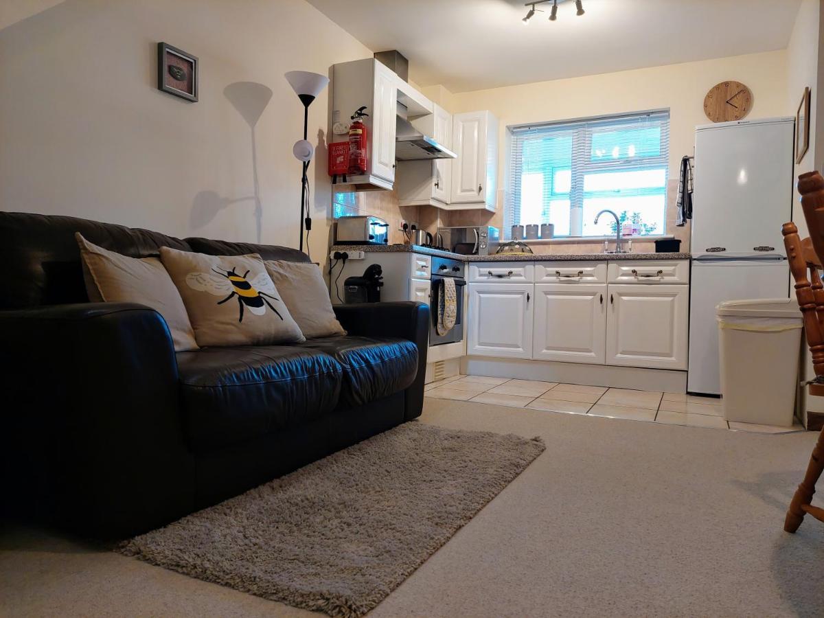 The Beehive - Self Catering In The Heart Of The Forest Of Dean Whitecroft Exteriér fotografie